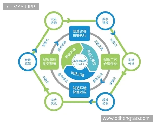 南京排球队边路渗透革新探索与实践的深度剖析与展望