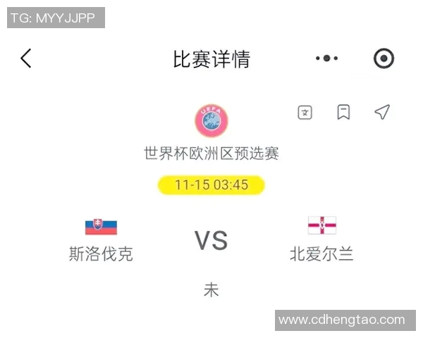 斯洛伐克与爱尔兰比赛数据分析及战术对比研究