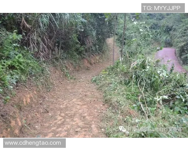 冈山与山形对决前瞻分析及赛果预测探讨