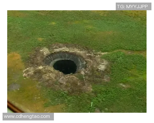 亚马尔地区的能源战略与全球气候变化的深度影响分析