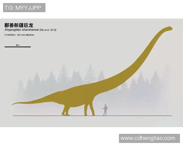 探索奥蓬达的魅力与历史揭示其在现代文化中的独特地位与影响力