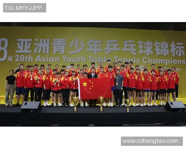 乒乓球深度解析：北京乒乓球队如何在逆境中实现反击与突破